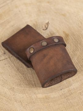 Dolchhalter Ulmus - links