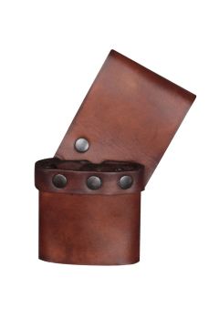 Dolchhalter Ulmus - links