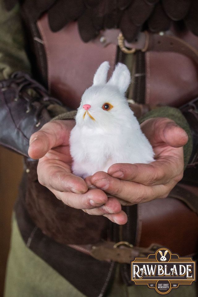 kleiner Begleiter im braunen Beutel 2