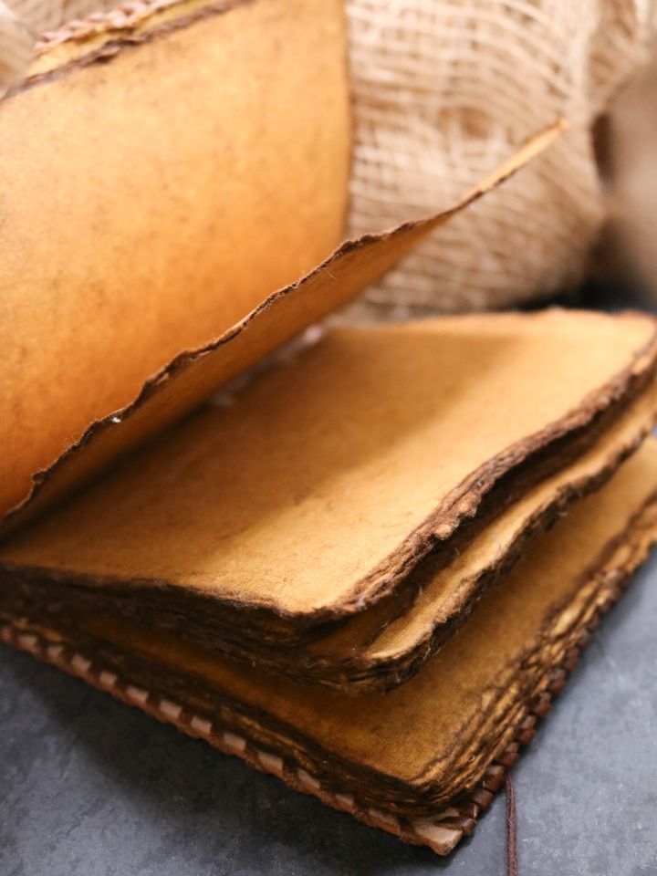 antikes Lederbuch - Kompass 4