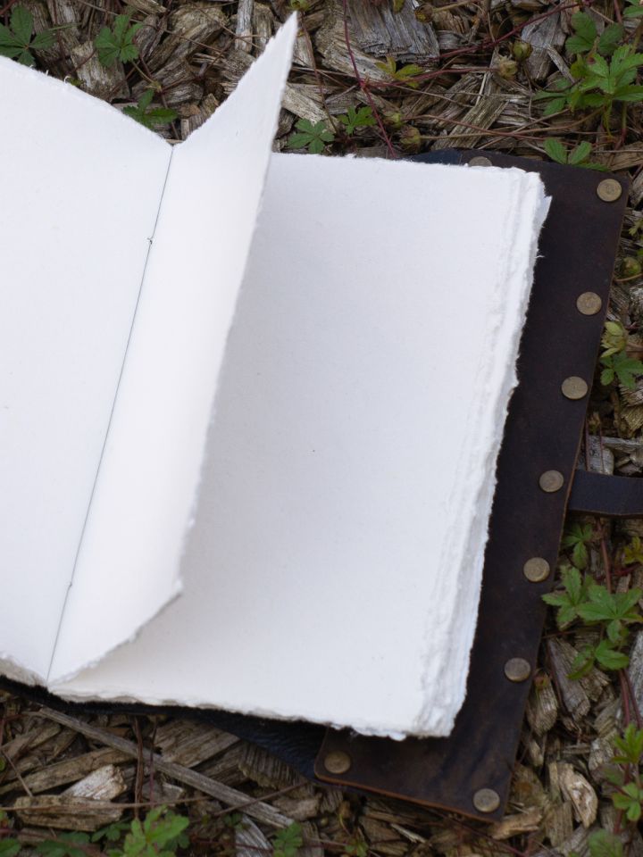 Lederjournal Baum mit Schnallenverschluss 4