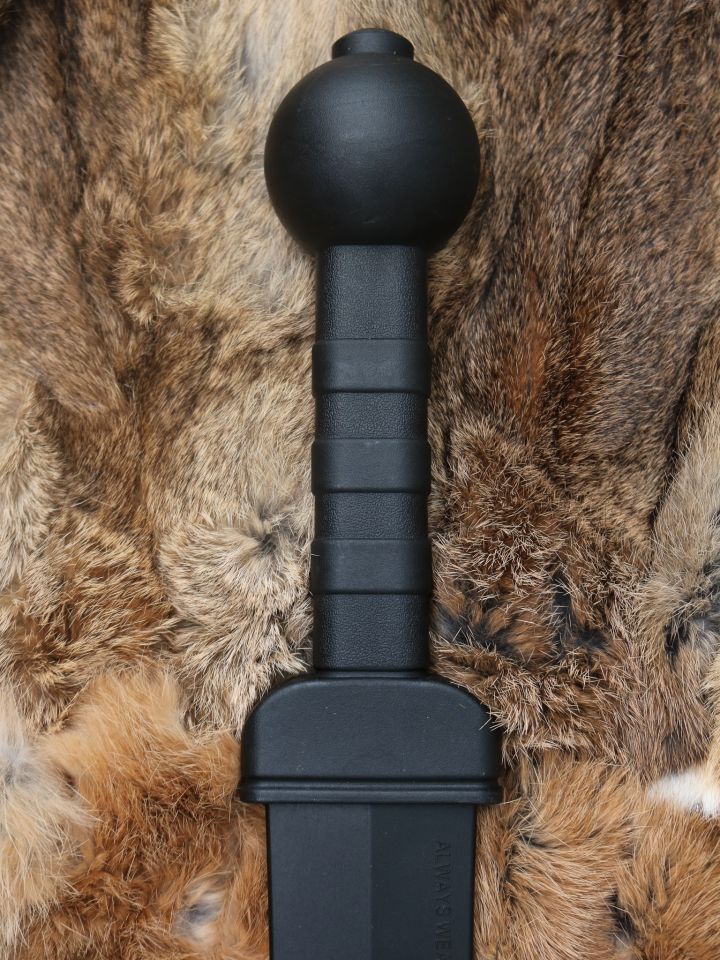 Gladius Trainingsschwert 4