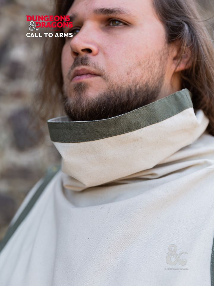 D&D Kleriker Wappenrock natur-seegras 5
