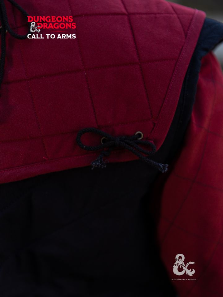 D&D Kämpfer Kragen bordeaux 5