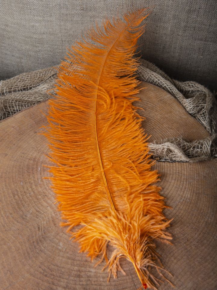 Straußenfeder 50-60 cm weiß 5